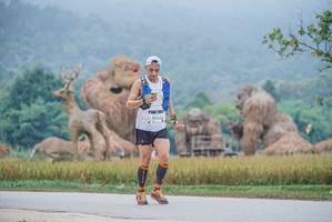 BIB: 9064
                            <button type="button" onclick="openModal(22304582)" class="btn btn-primary btn-sm float-right btn-popup" data-toggle="modal" data-target=".modal-high-quality">
                        <i class="fas fa-shopping-cart"></i> Add to Cart
                    </button>
                                            <button type="button" onclick="isThisMe(22304582, true)" class="btn btn-success btn-sm float-right btn-popup btn-isme hidden" data-toggle="tooltip" data-placement="bottom" title="นี่คือรูปของคุณใช่ไหม คลิกที่นี่เพื่อเอาเข้าอัลบั้ม">
                        <i class="fas fa-plus"></i> Add to album
                    </button>
                    <button type="button" onclick="isThisMe(22304582, false)" class="btn btn-warning btn-sm float-right btn-popup btn-isnotme hidden">
                        <i class="fas fa-ban"></i> Remove from album
                    </button>